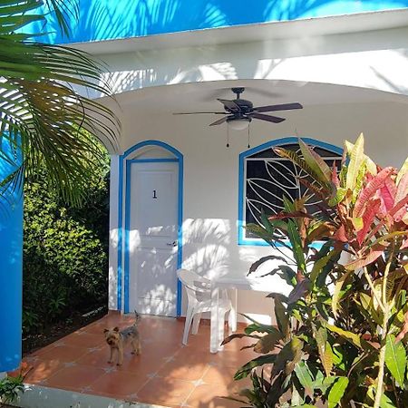 Chambre Bungalow2 Las Terrenas Exterior photo